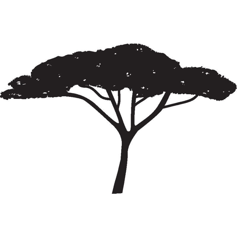 Hilfe für die Massai e.V.